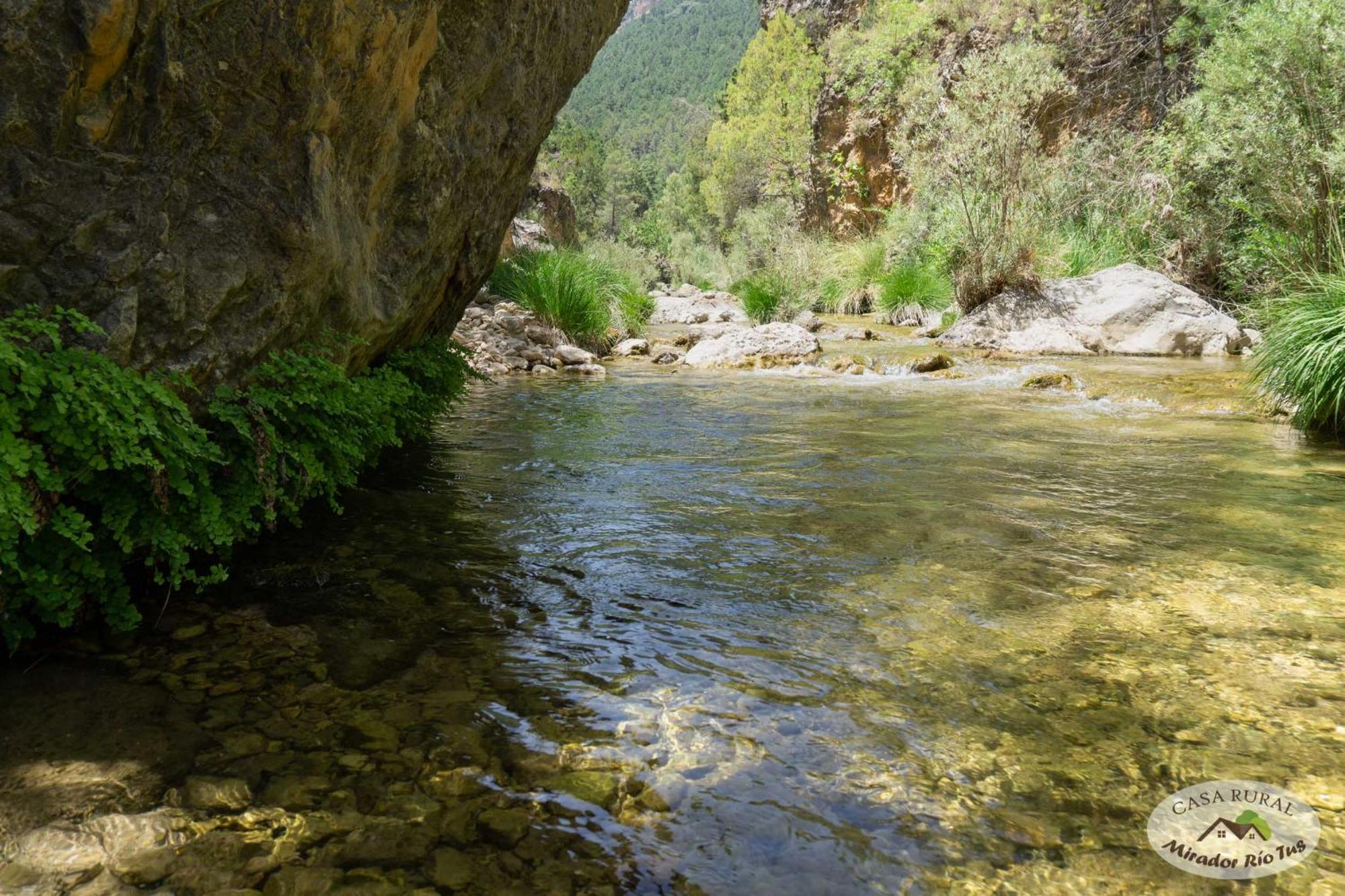 Casa Rural Mirador Del Rio Tus, En Yeste Exteriér fotografie